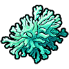 Antipatharia