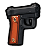 SNS Pistol